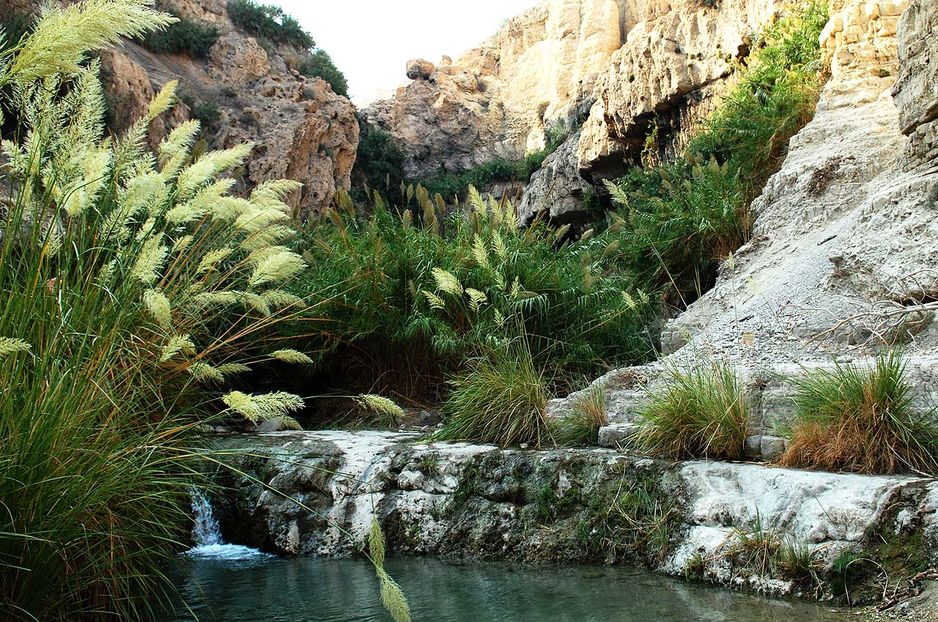 Oase En Gedi in der israelischen Wüste Negev.